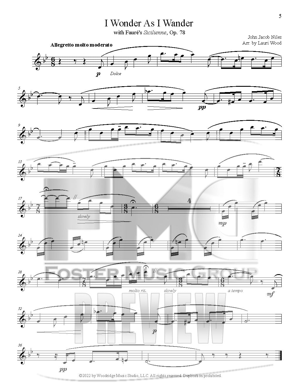 I Wonder as I Wander (Instrumental Duet)